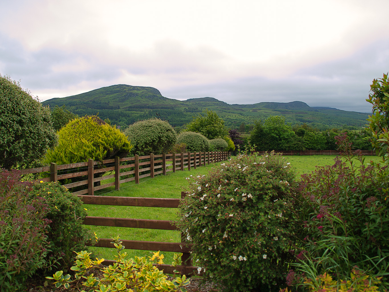 Click for larger image (18kb)