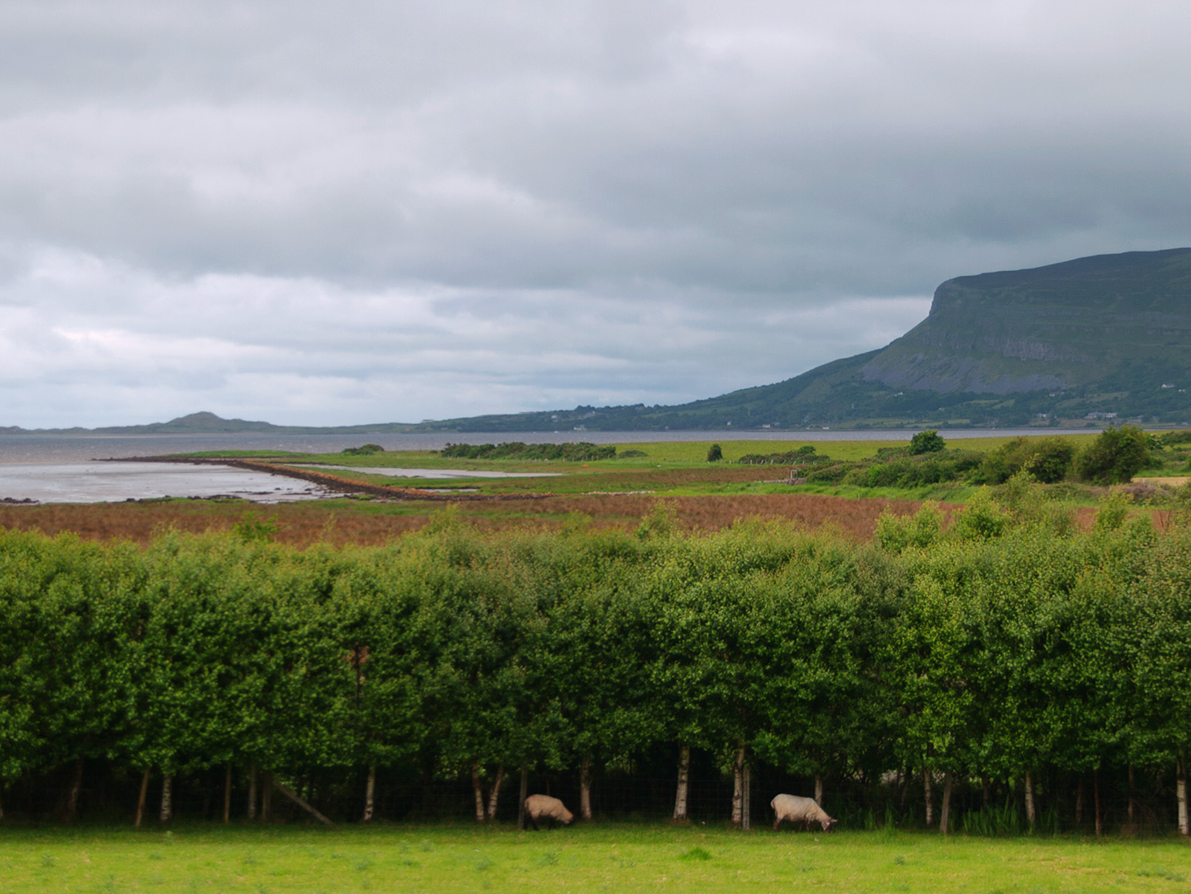 Click for larger image (15.8kb)