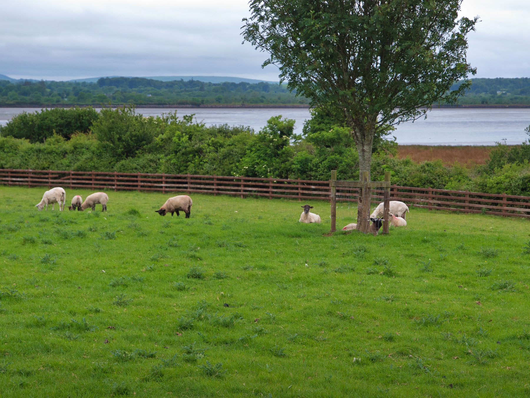 Click for larger image