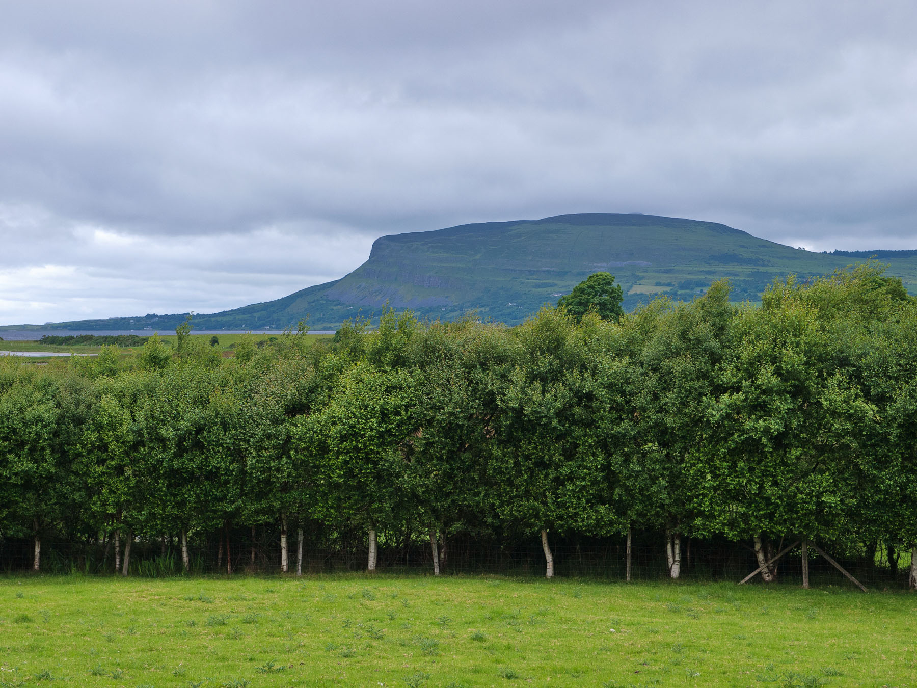 Click for larger image